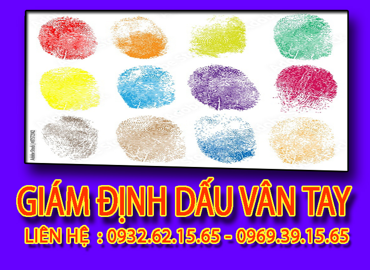 Dịch vụ giám định dấu vân tay chất lượng tại Hải Phòng 4